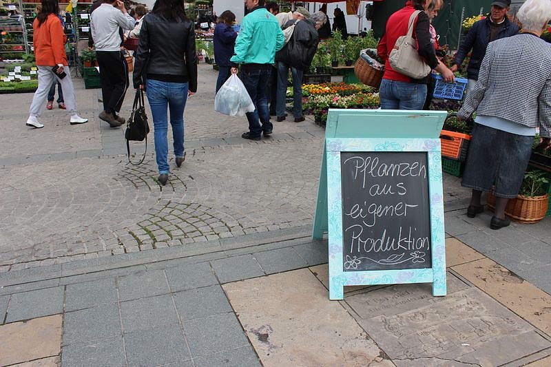 Gewimmel auf dem Pflanzenmarkt