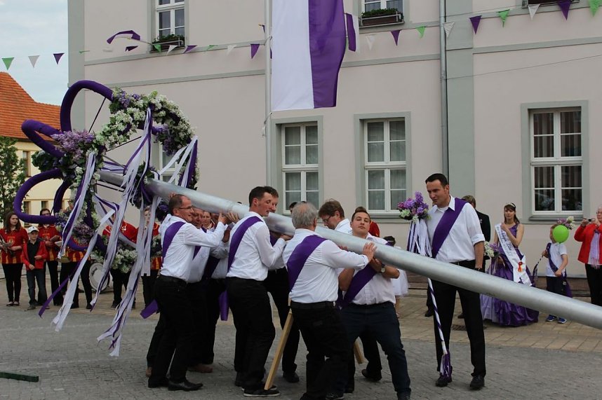 Fliederkrone wurde gesetzt