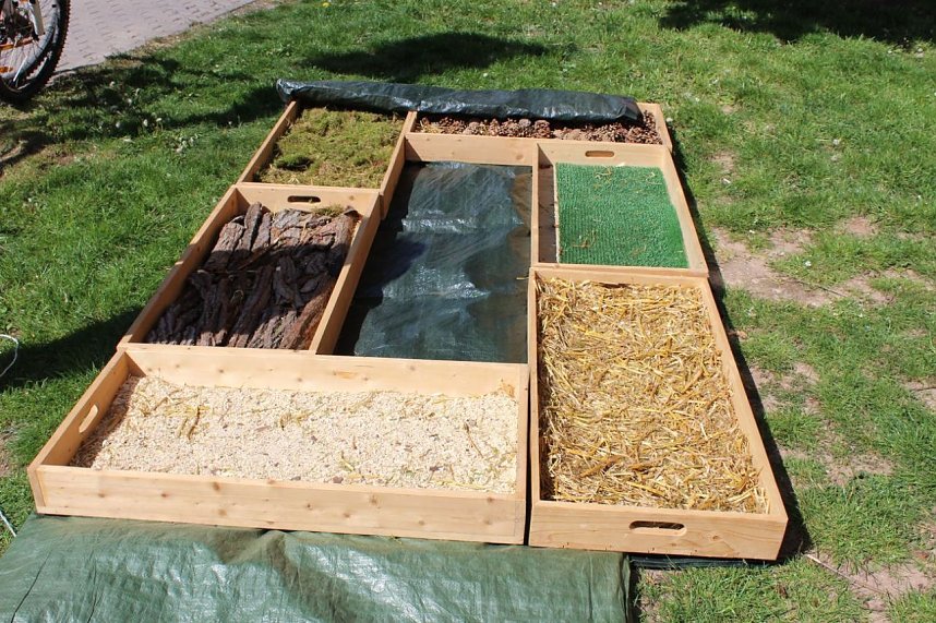 Familienaktionstag in Sondershausen gestartet