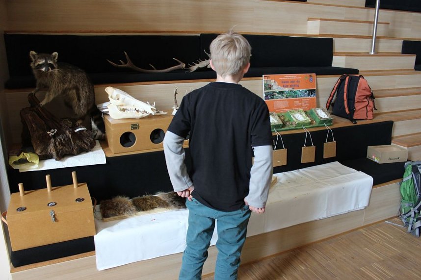 Familienaktionstag in Sondershausen gestartet