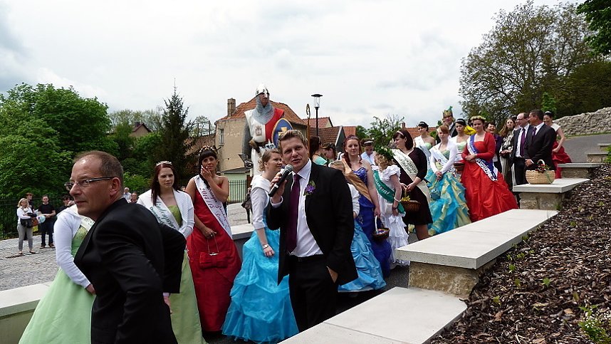 Fliederbaum an neuem Ort gepflanzt