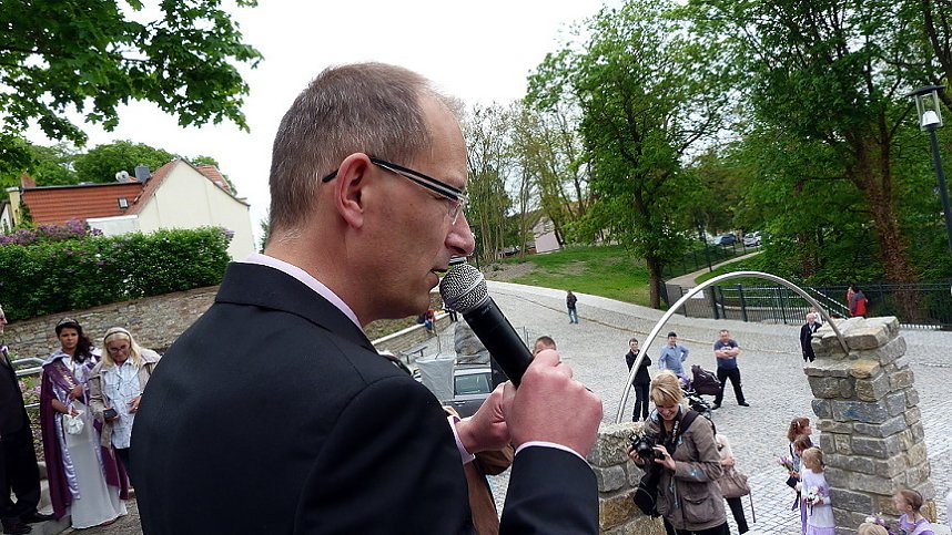 Fliederbaum an neuem Ort gepflanzt