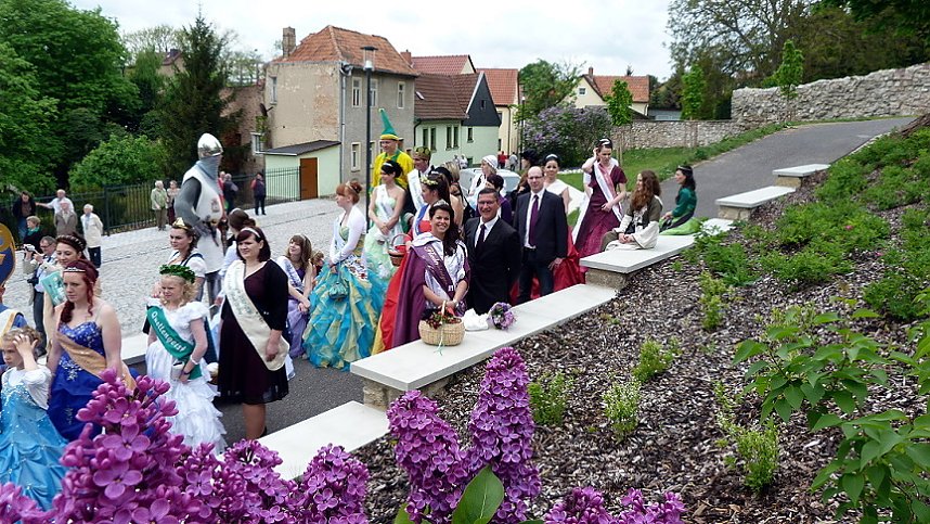 Fliederbaum an neuem Ort gepflanzt