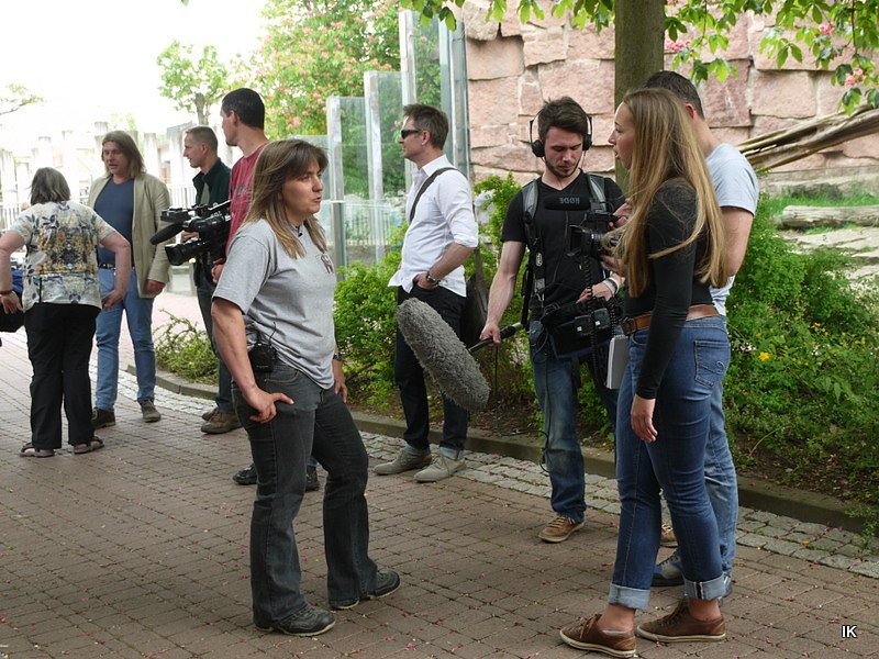 B&auml;rin Conny zieht nach Worbis