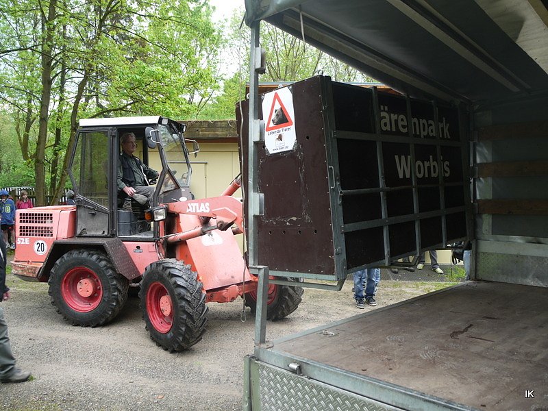 B&auml;rin Conny zieht nach Worbis