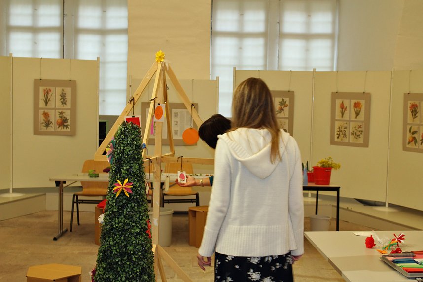 Museumstag mit vielen Angeboten