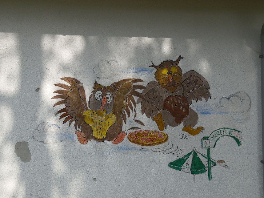 Pfingsten auf der Feuerkuppe