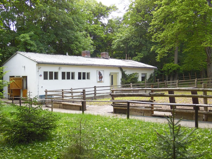 Pfingsten auf der Feuerkuppe