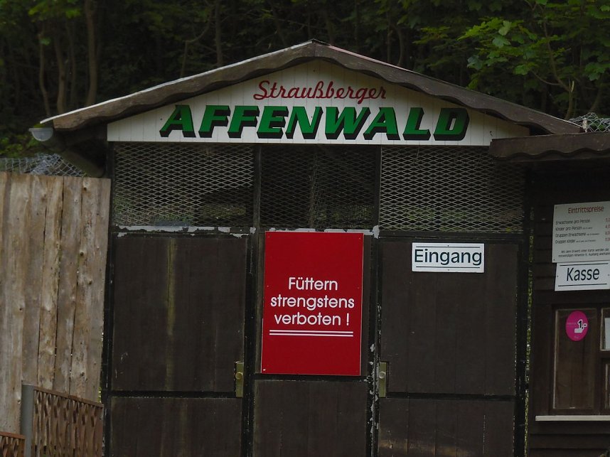 Besuch im Affenwald 