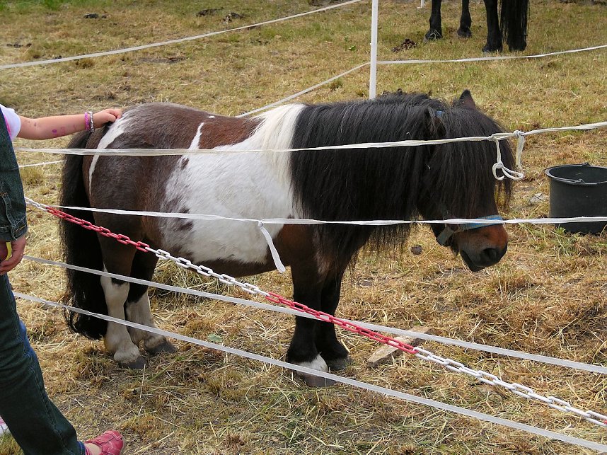 Besuch auf der Runneburg