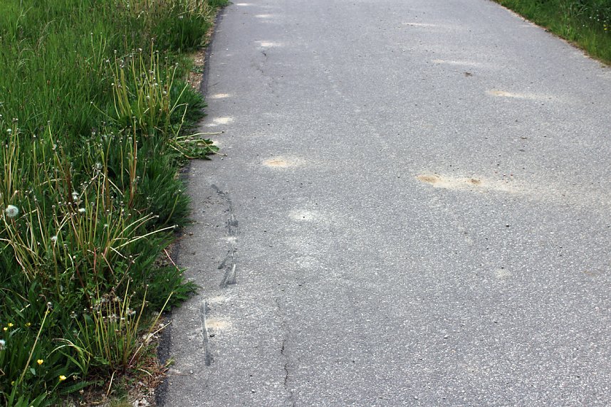 Jetzt schon Baum&auml;ngel am neuen Radweg?