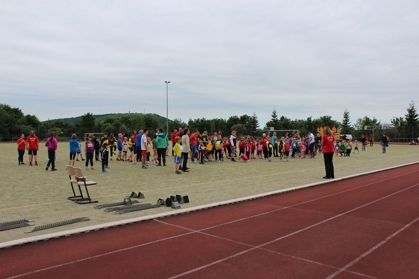 Tolle K&auml;mpfe und viel Spa&szlig; auf dem G&ouml;ldner