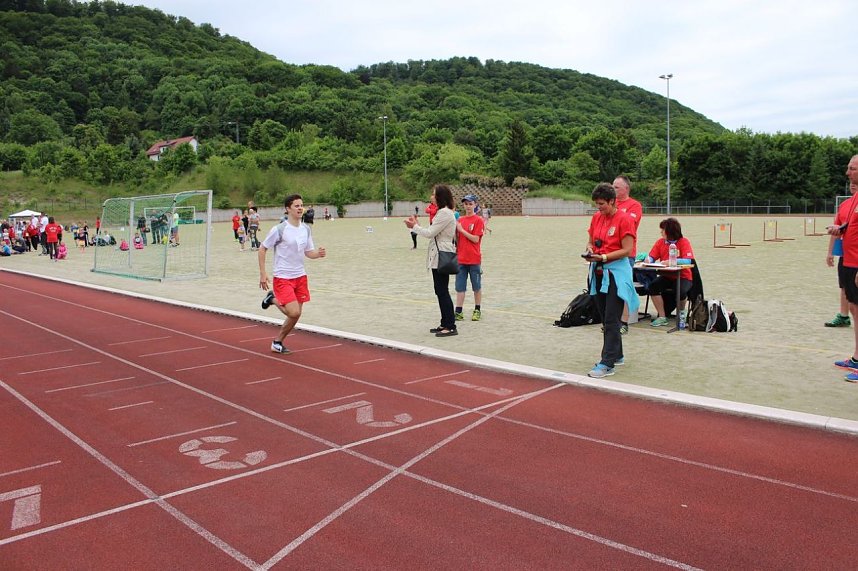 Tolle K&auml;mpfe und viel Spa&szlig; auf dem G&ouml;ldner