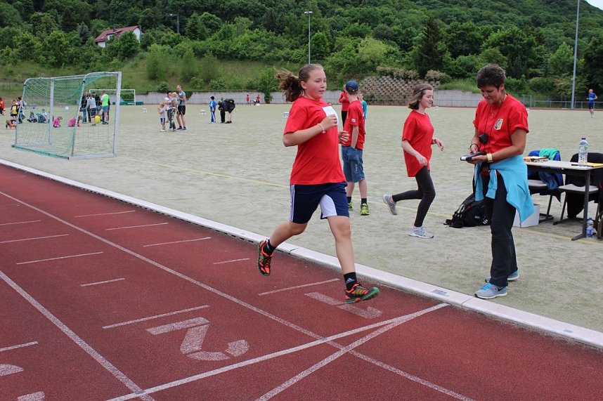 Tolle K&auml;mpfe und viel Spa&szlig; auf dem G&ouml;ldner