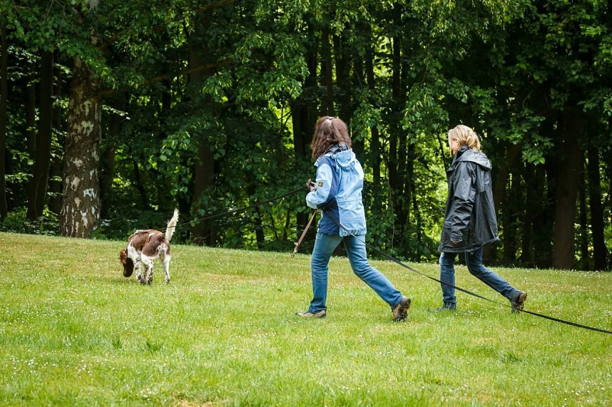 Mantrailing-Seminar auf dem Sondersh&auml;user Hundeplatz
