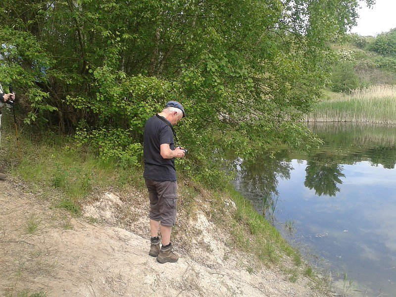 Exkursion in eine Sandgrube