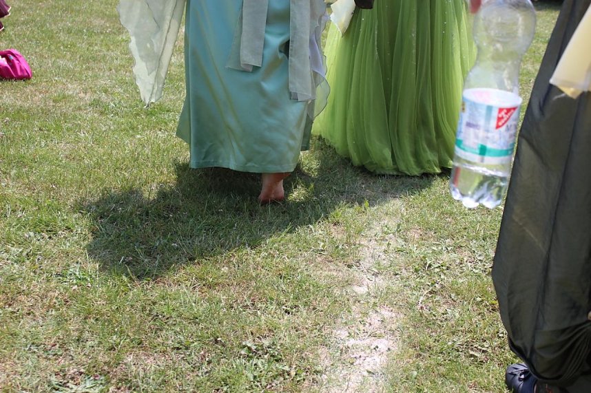 Laubk&ouml;nig gekr&ouml;nt