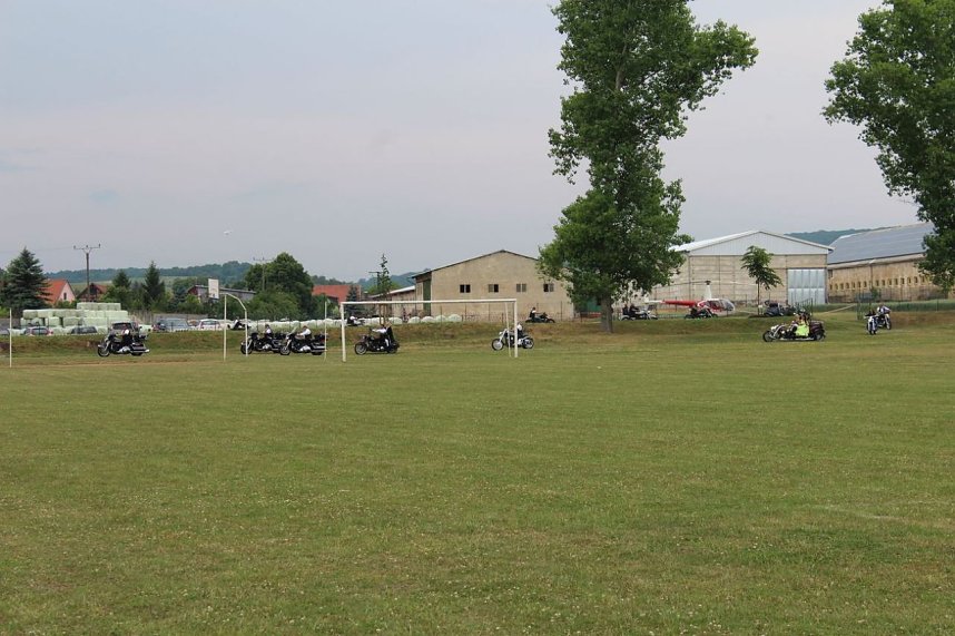 Laubk&ouml;nig gekr&ouml;nt