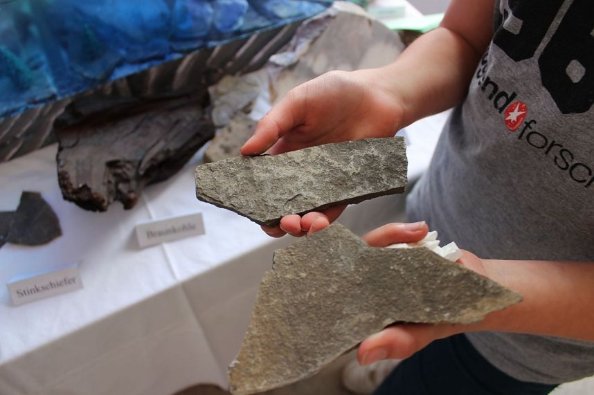 Das Kyffh&auml;userland bevor der Mensch da war