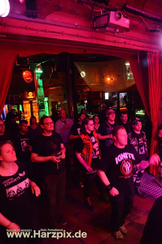 BOXHAMSTERS & DER REST LIVE