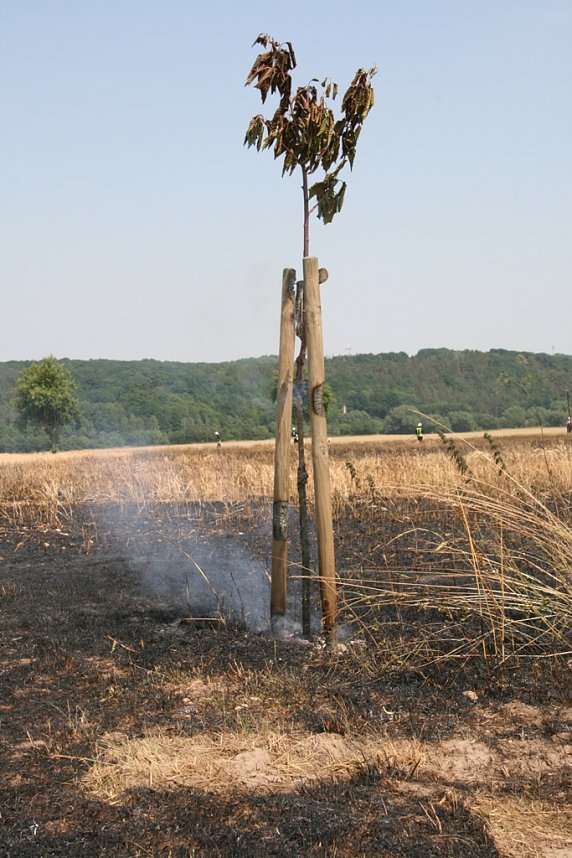 Feuer zwischen Klein- und Gro&szlig;furra