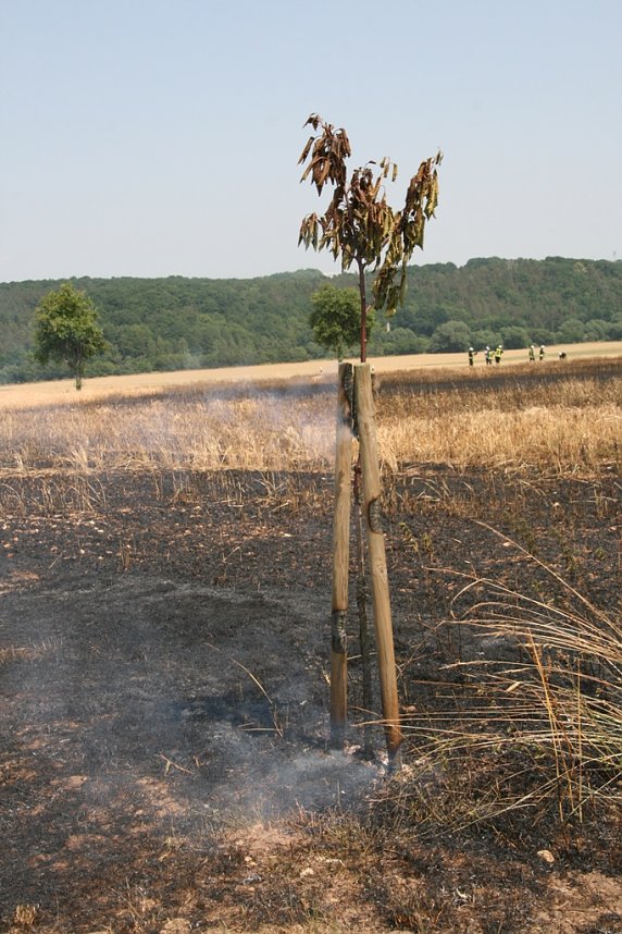 Feuer zwischen Klein- und Gro&szlig;furra