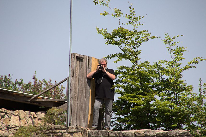 Oldtimer im Schlosspark