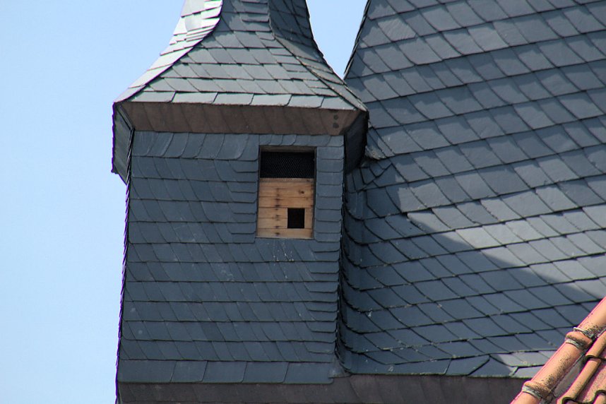 Oldtimer im Schlosspark