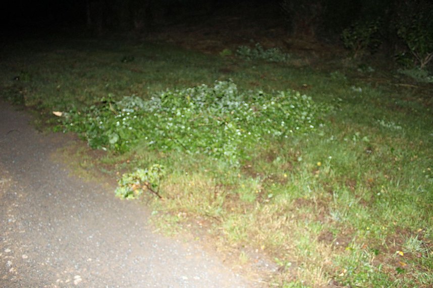 Schlosspark Sondershausen stellenweise regelrecht verw&uuml;stet. Stra&szlig;en wieder frei (Stand 23:40)...