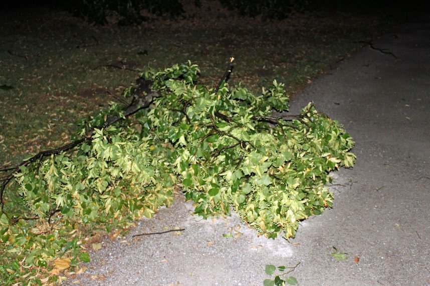 Schlosspark Sondershausen stellenweise regelrecht verw&uuml;stet. Stra&szlig;en wieder frei (Stand 23:40)...