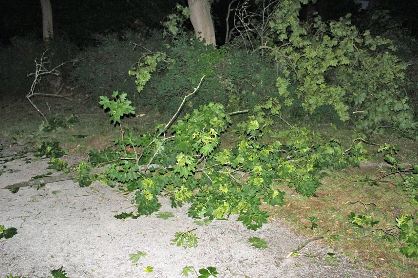 Schlosspark Sondershausen stellenweise regelrecht verw&uuml;stet. Stra&szlig;en wieder frei (Stand 23:40)...
