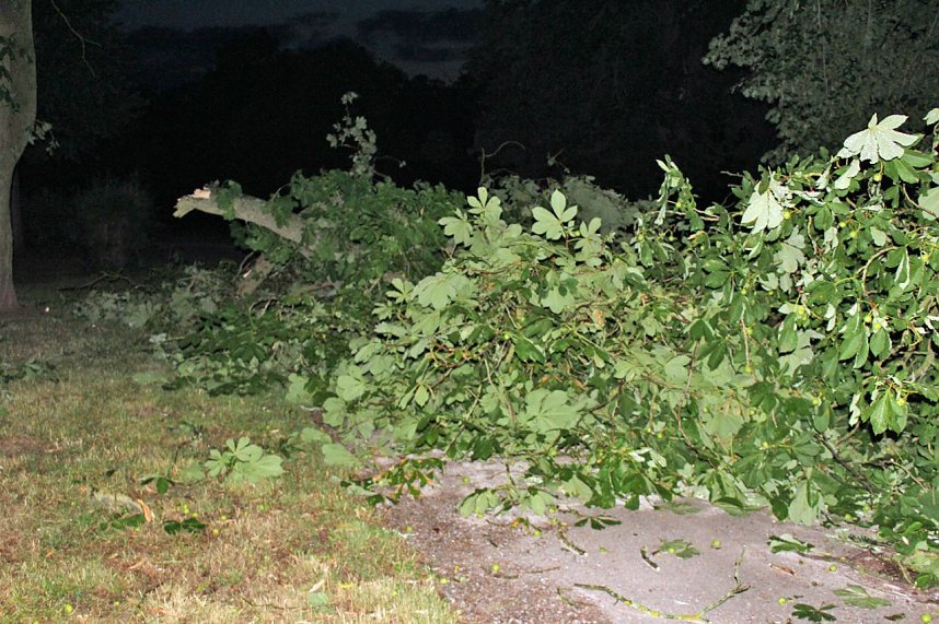 Schlosspark Sondershausen stellenweise regelrecht verw&uuml;stet. Stra&szlig;en wieder frei (Stand 23:40)...