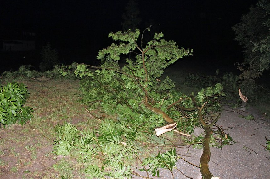 Schlosspark Sondershausen stellenweise regelrecht verw&uuml;stet. Stra&szlig;en wieder frei (Stand 23:40)...