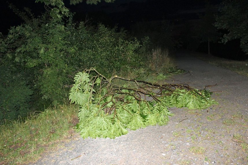 Schlosspark Sondershausen stellenweise regelrecht verw&uuml;stet. Stra&szlig;en wieder frei (Stand 23:40)...