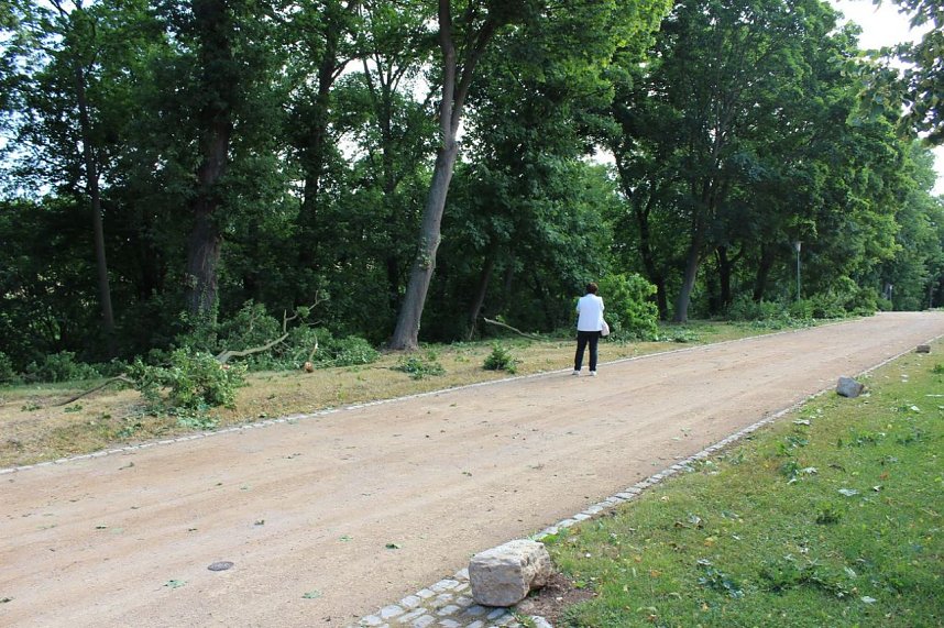 Sprache &ouml;ffnet T&uuml;ren