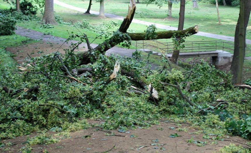 Schlosspark Sondershausen gesperrt 
