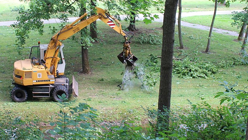 Schlosspark Sondershausen gesperrt 