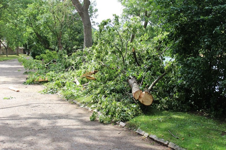 Schlosspark Sondershausen gesperrt 