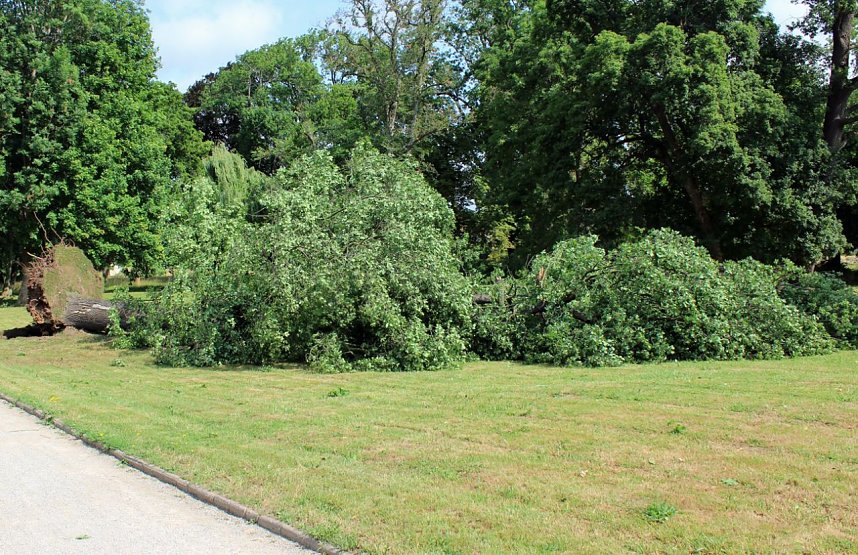 Sturmsch&auml;den im Schlosspark Sondershausen