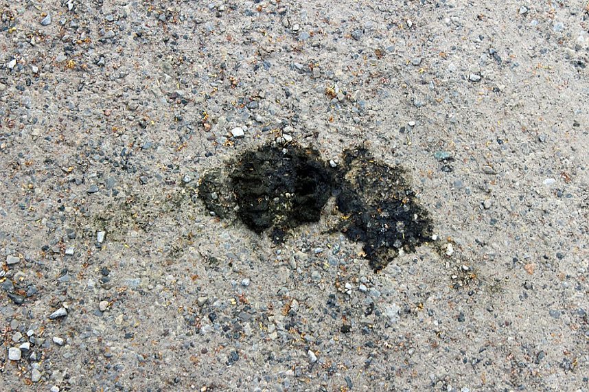 Stilles Abkommen &uuml;ber Hundekot?