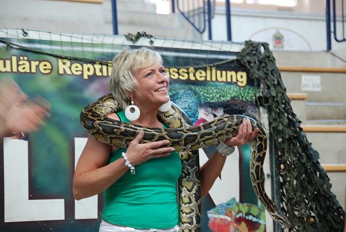 Welt der Reptilien in der Wiedingsburghalle