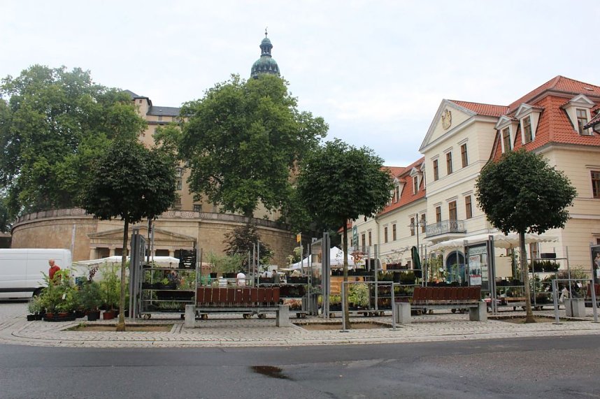 Pflanzenmarkt gestartet