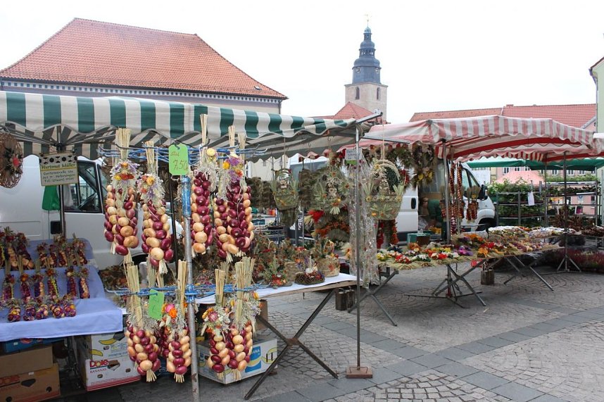 Pflanzenmarkt gestartet