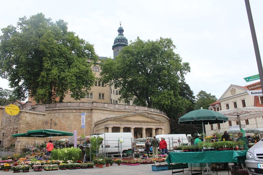 Pflanzenmarkt gestartet