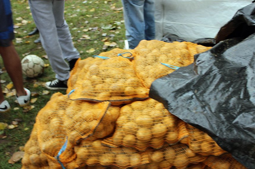 Interkulturelles Sport- und Spielfest