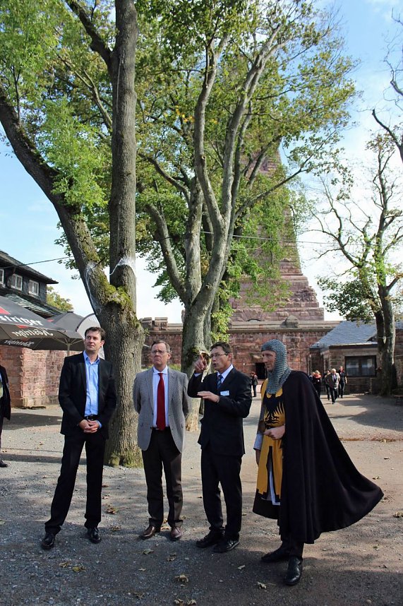 Positives und Kritik am Kyffh&auml;user