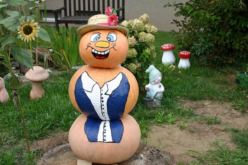 Lustige K&uuml;rbisbilder