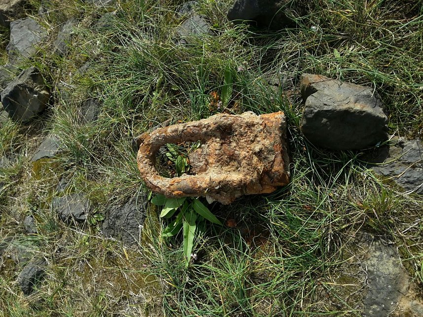 In der Elbe gefunden