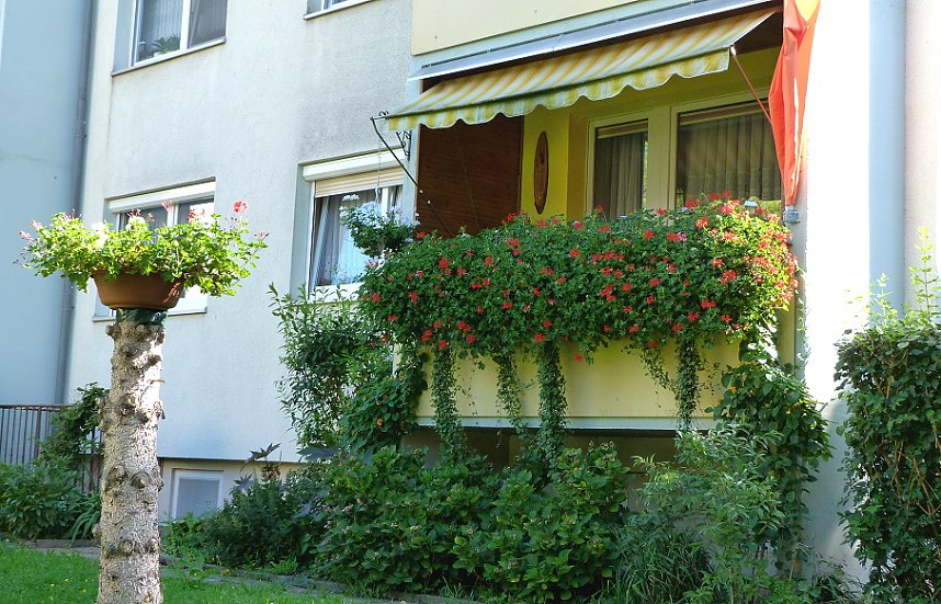 Stadt Frankenhausen sagt Danke