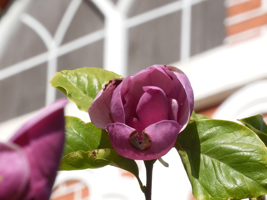 Der W&ouml;rlitzer Park